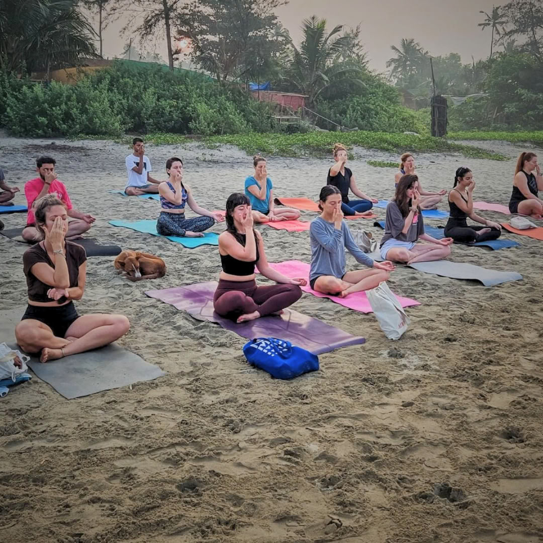 Corso TTC di yoga di 200 ore a Goa