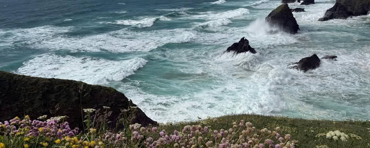Passeggiata Guidata a Constantine Bay
