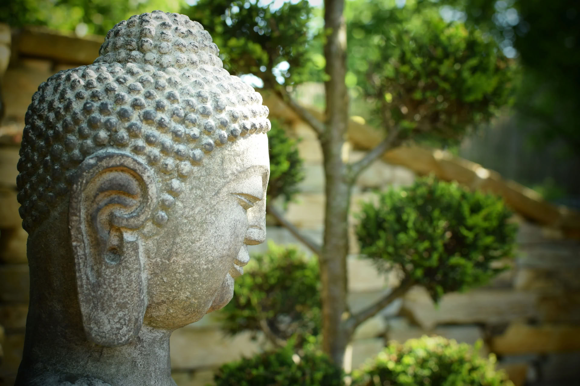 Vipassana (meditazione di consapevolezza)