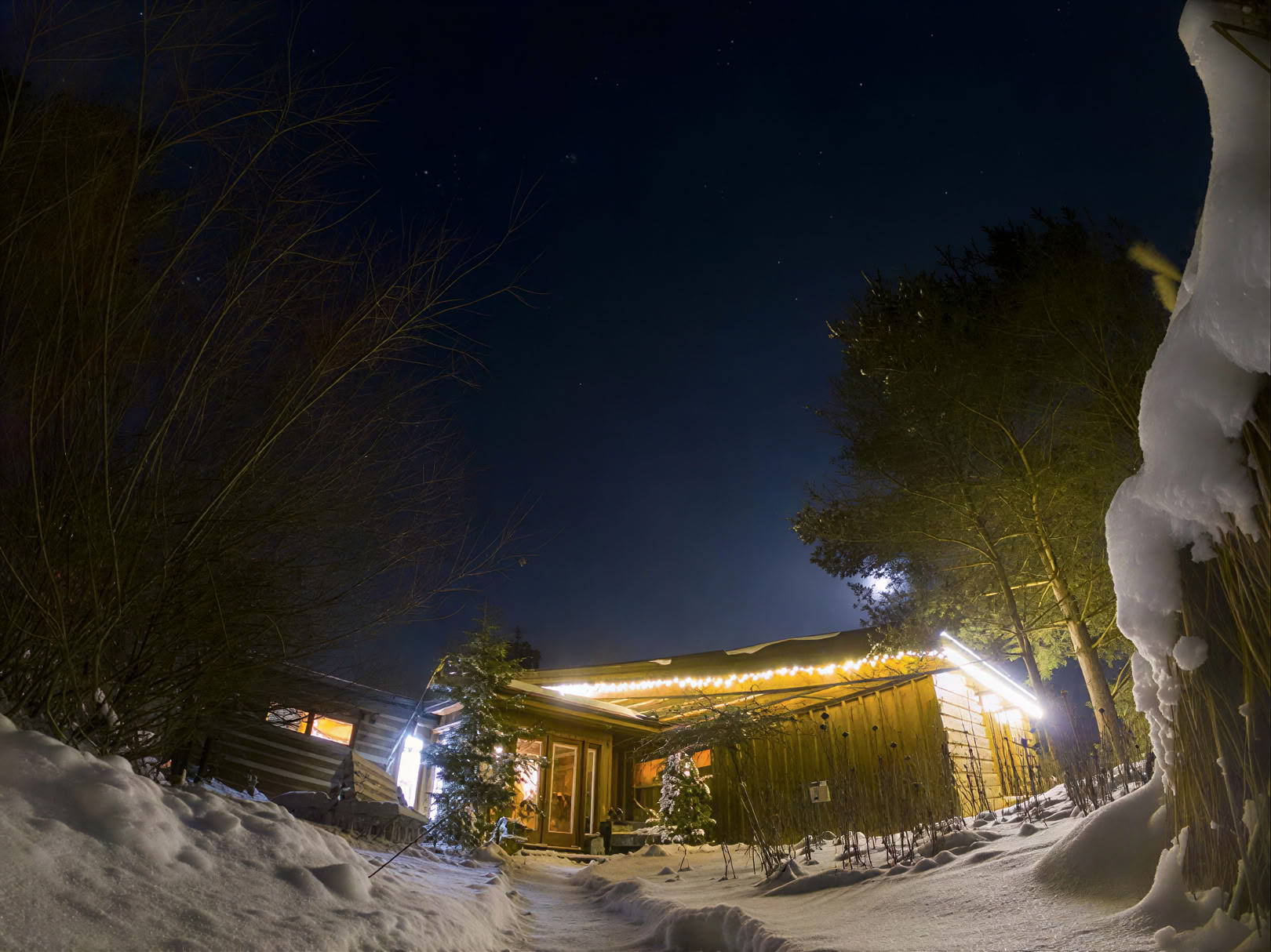 Bagno nella foresta