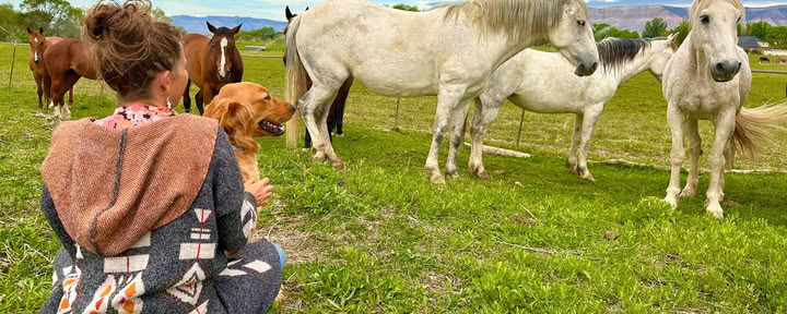 Cuori e Cavalli per Donne