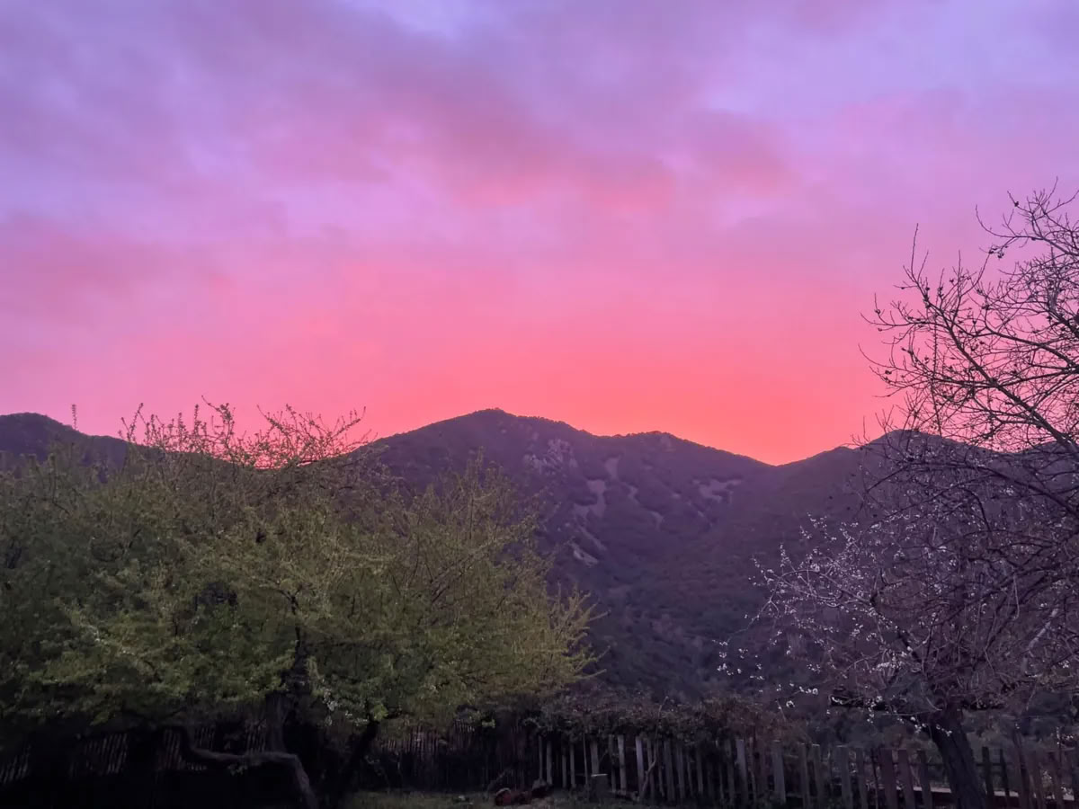 Ritiro San Pedro e Ayahuasca — 4 giorni