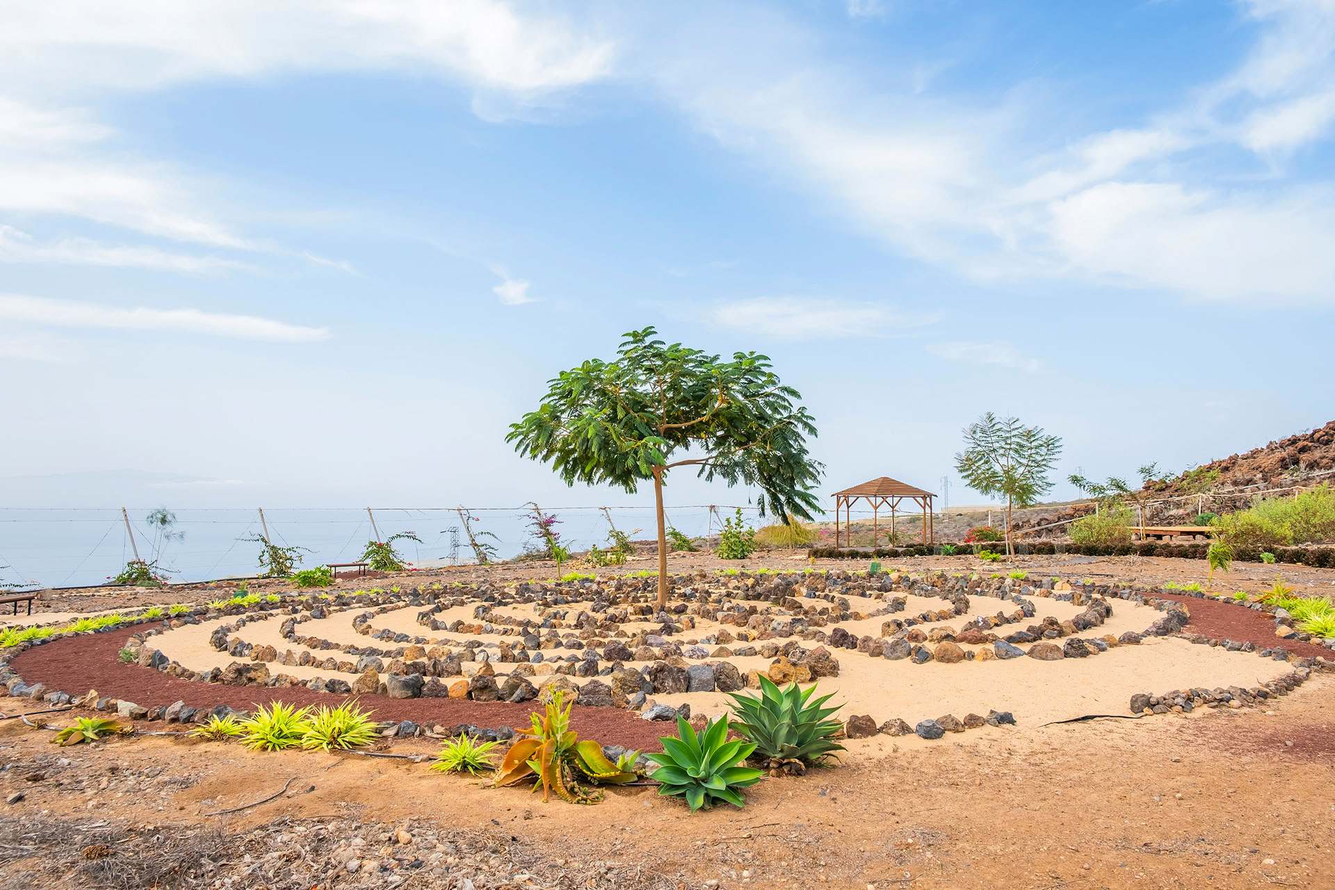 Tour di meditazione a Tenerife