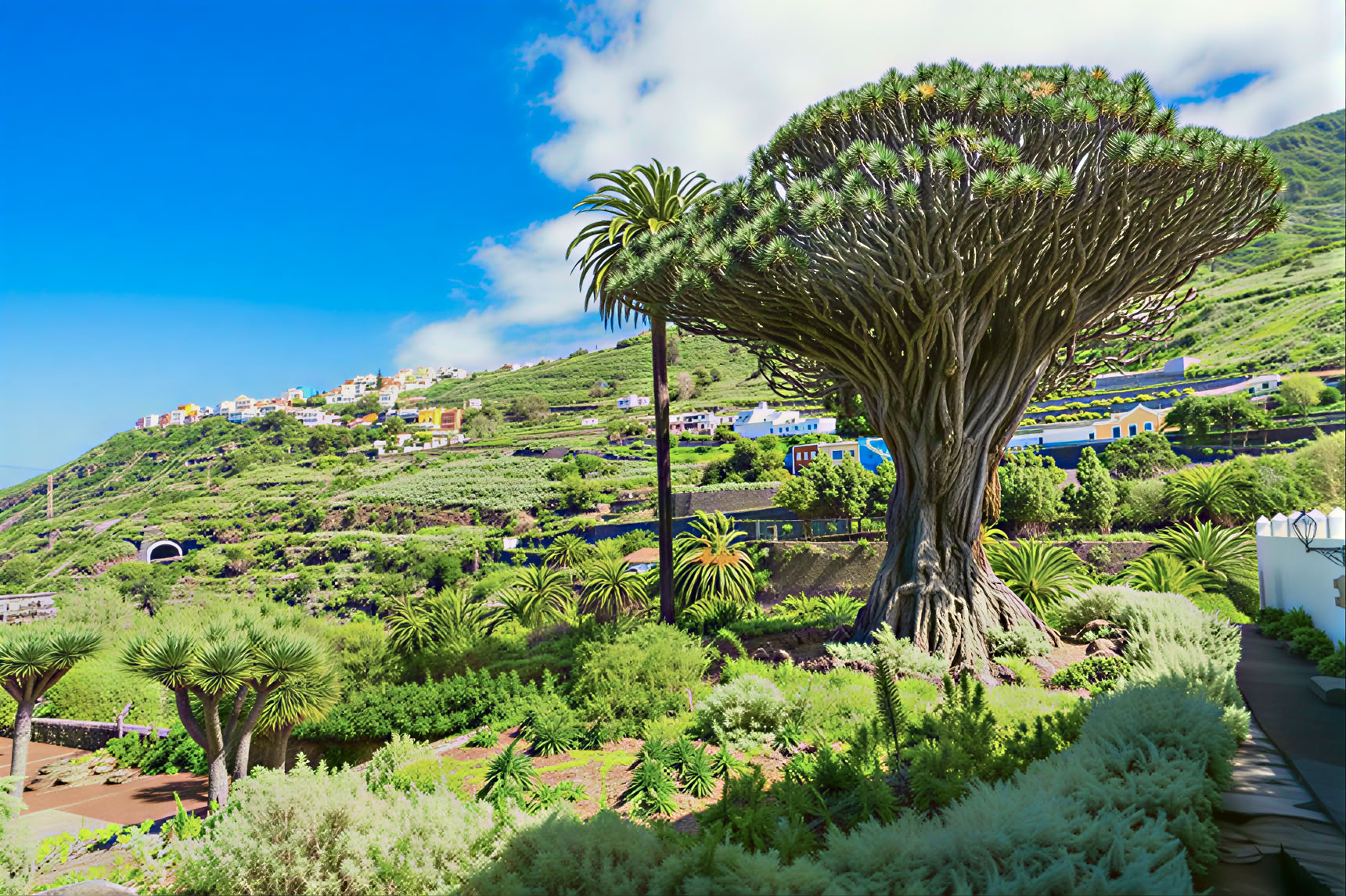 Tour di meditazione a Tenerife
