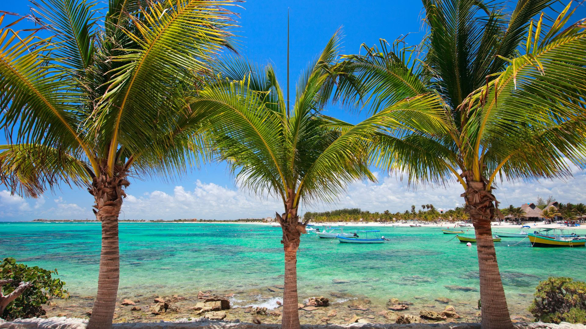 Ritiro Benessere Akumal: Suite con vista sull'oceano