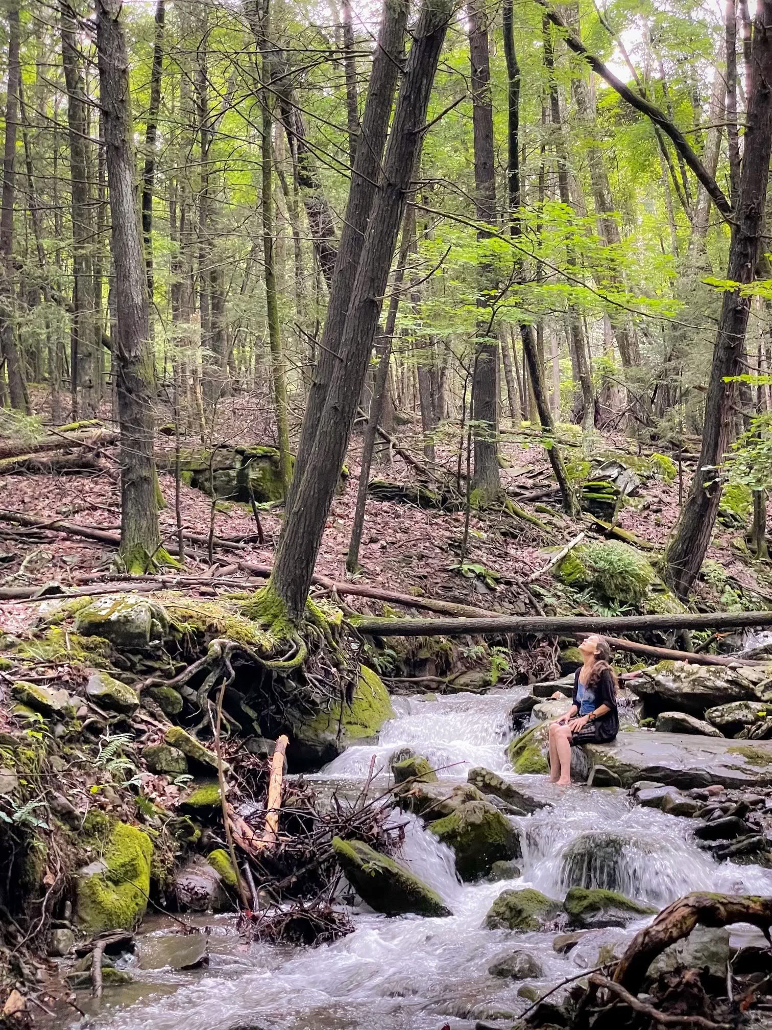 Raccolta del raccolto presso il N.E.S.T. con la Hudson Valley Psychedelic Society — ESKFF NEST