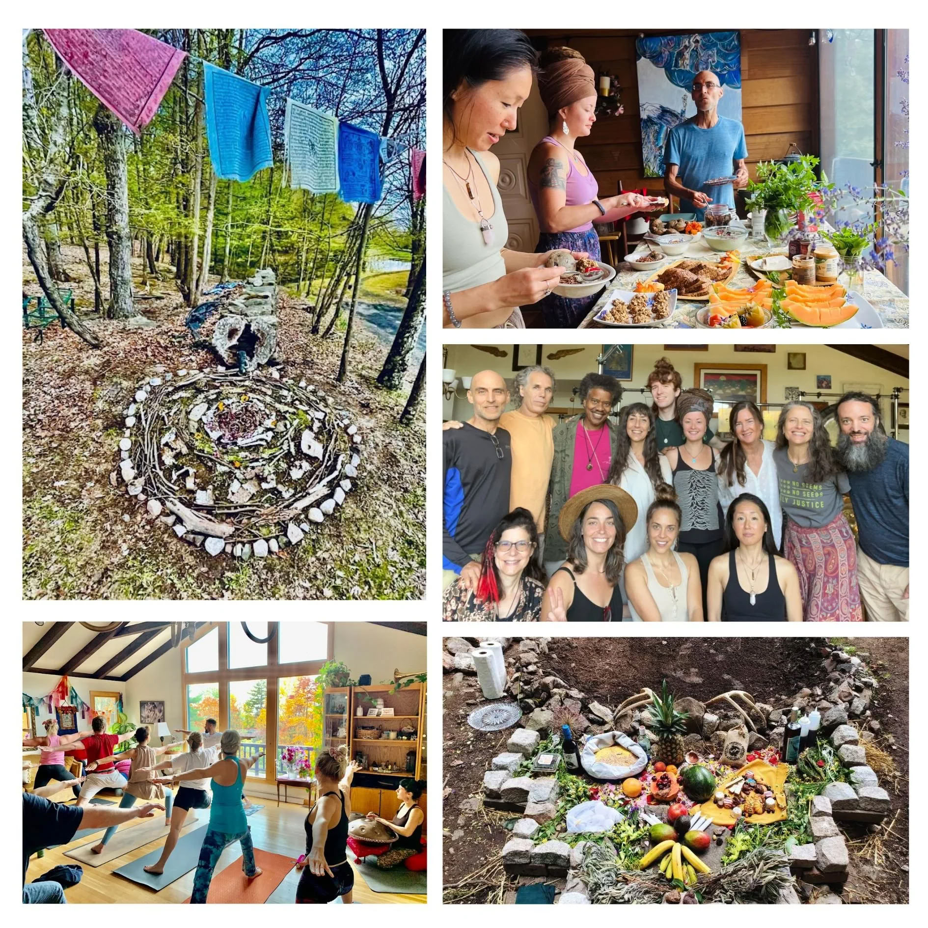 Raccolta del raccolto presso il N.E.S.T. con la Hudson Valley Psychedelic Society — ESKFF NEST