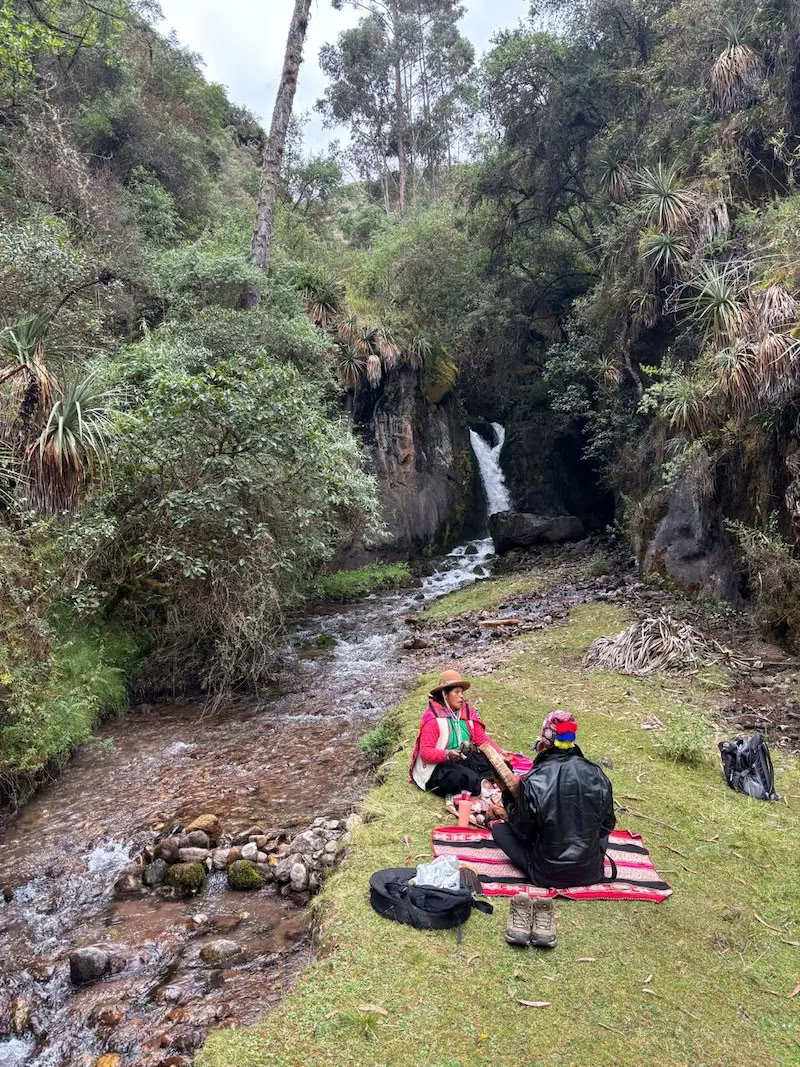Ritiro di Ayahuasca e San Pedro di 3 giorni
