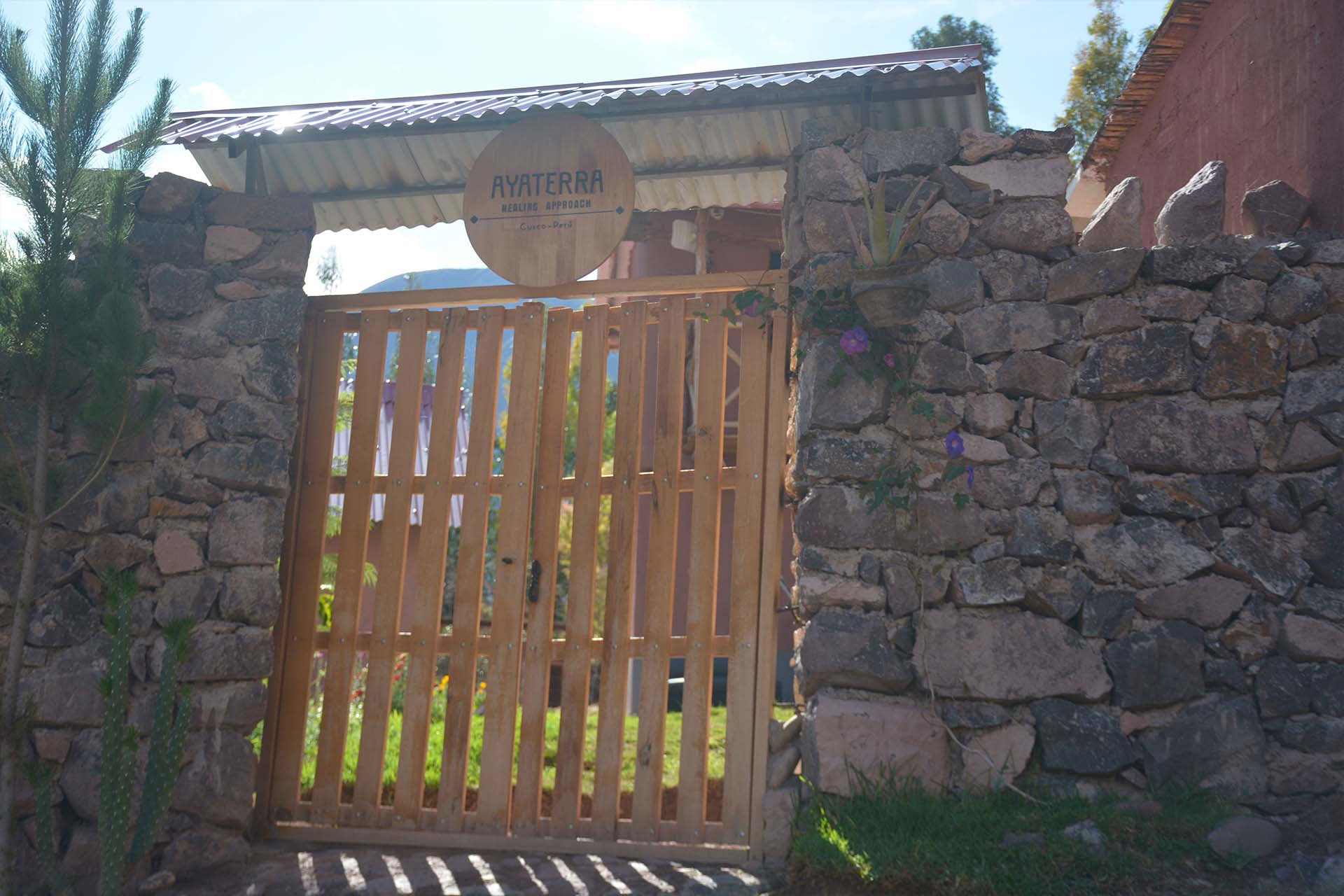 Ritiro di Ayahuasca e San Pedro di 3 giorni