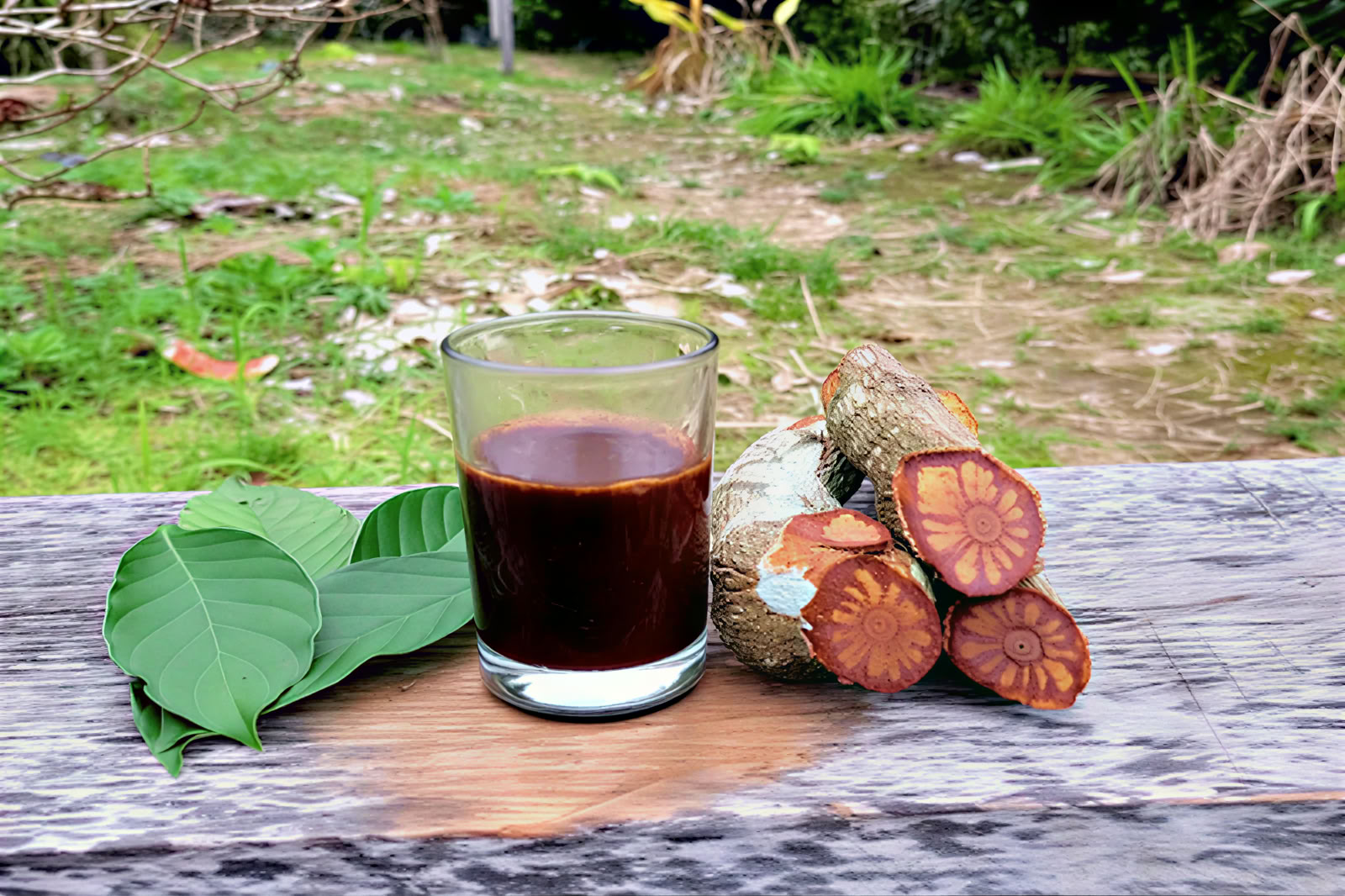 ritiro di 1 giorno con ayahuasca