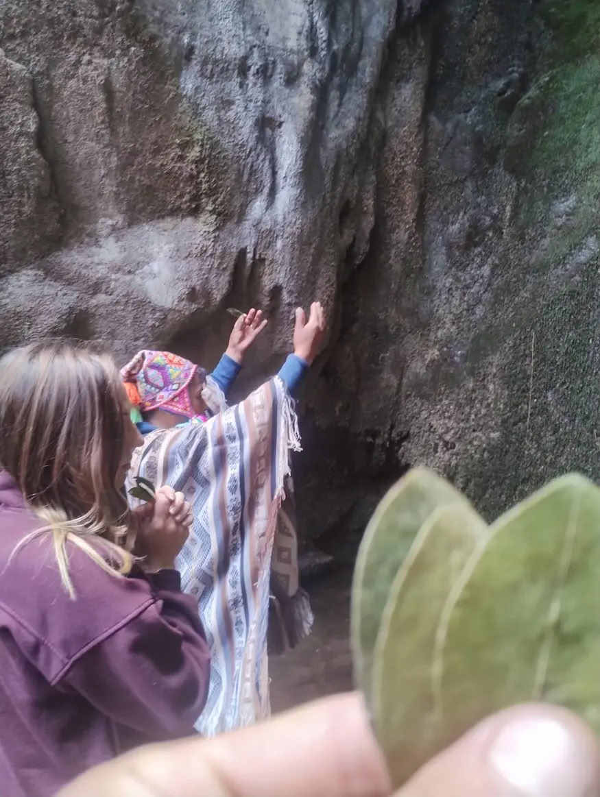 Ritiro di 5 giorni con Ayahuasca e San Pedro in Perù
