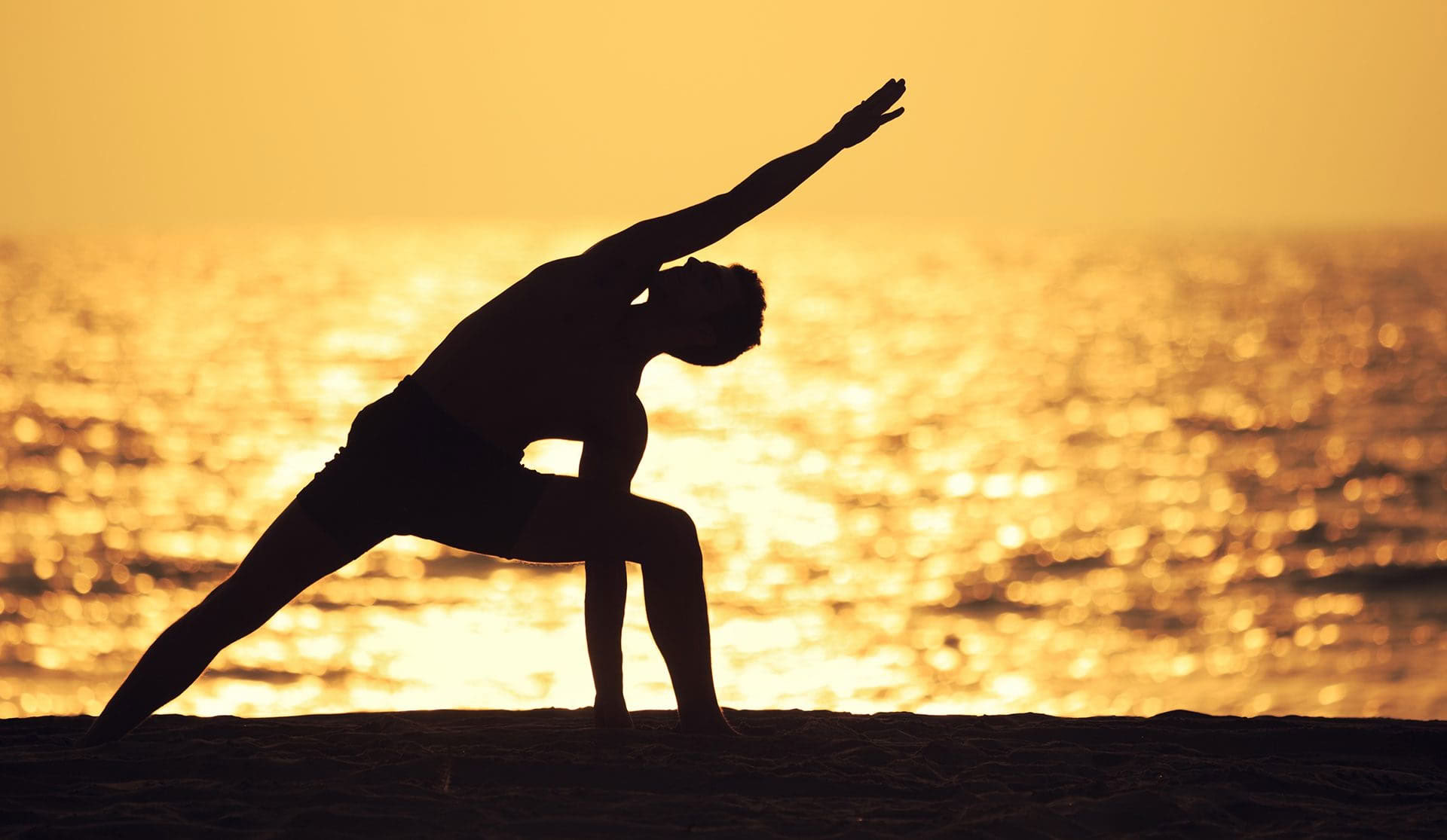 Corso di formazione insegnanti di yoga Hatha Vinyasa di 200 ore – 31 gen - 25 feb
