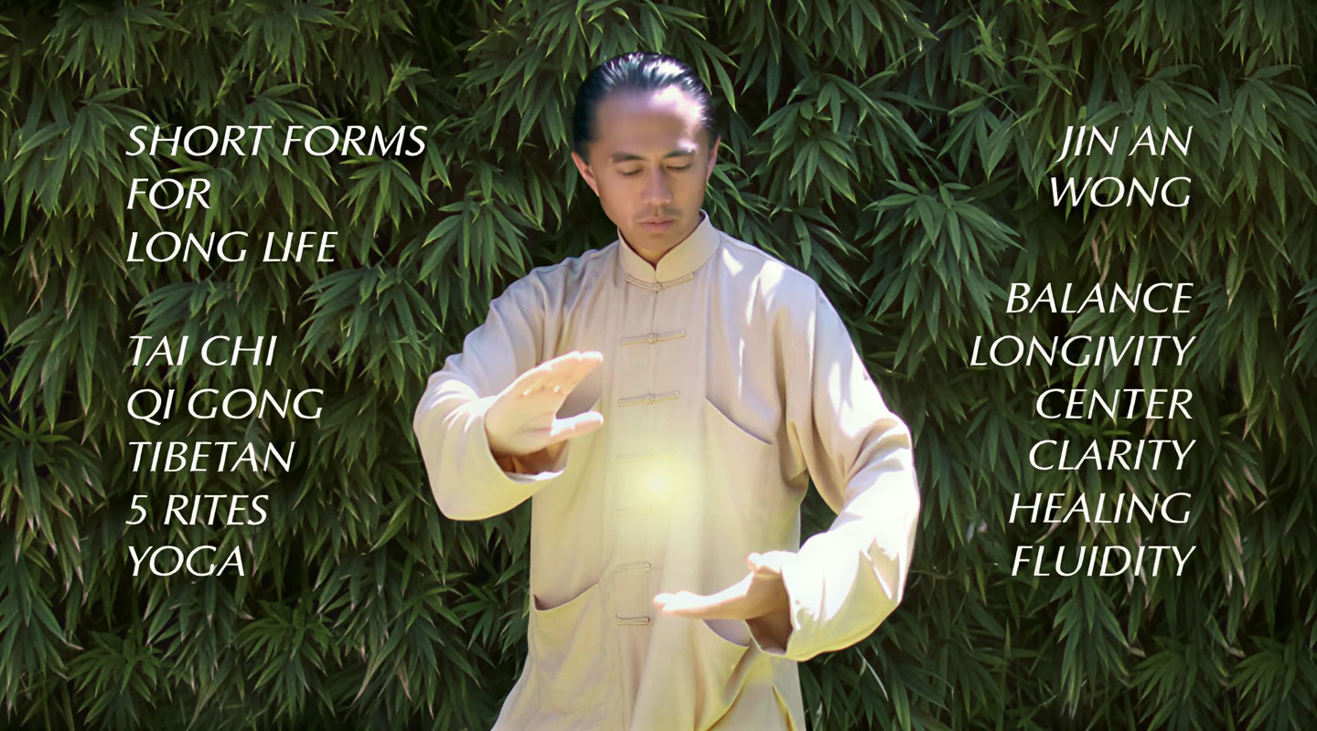 Tai Chi Tao: forme brevi per una lunga vita con Jin An Wong
