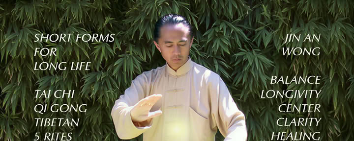 Tai Chi Tao: forme brevi per una lunga vita con Jin An Wong