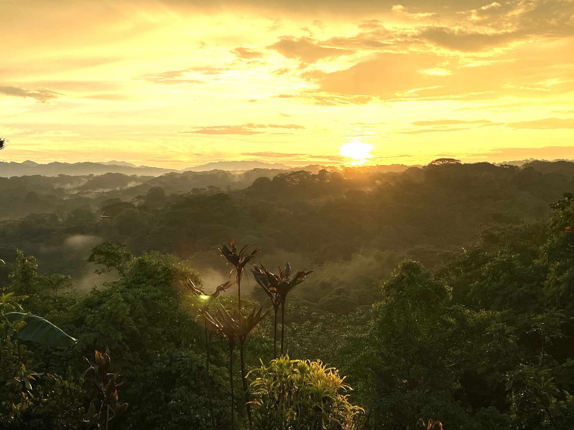 Ritiro di yoga in Costa Rica
