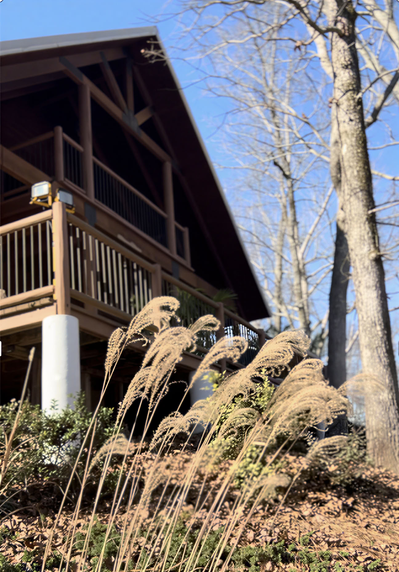 Ritiri di un giorno