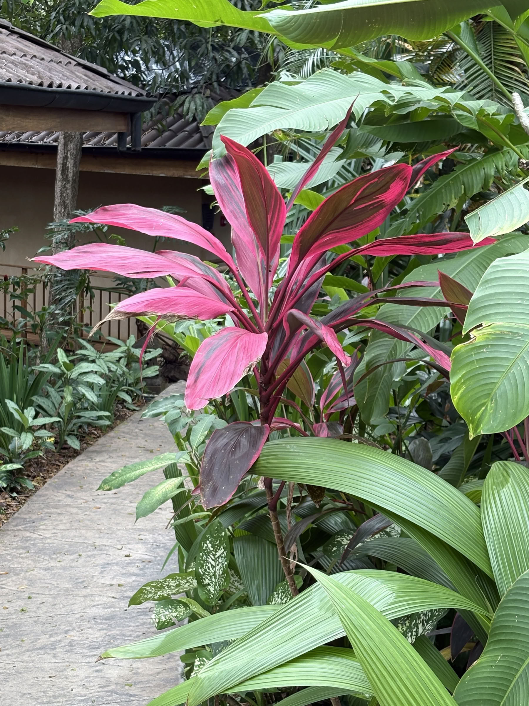 Ritiro di gennaio 2027 in Costa Rica