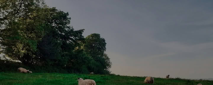 Ritiro Sharpham Trust