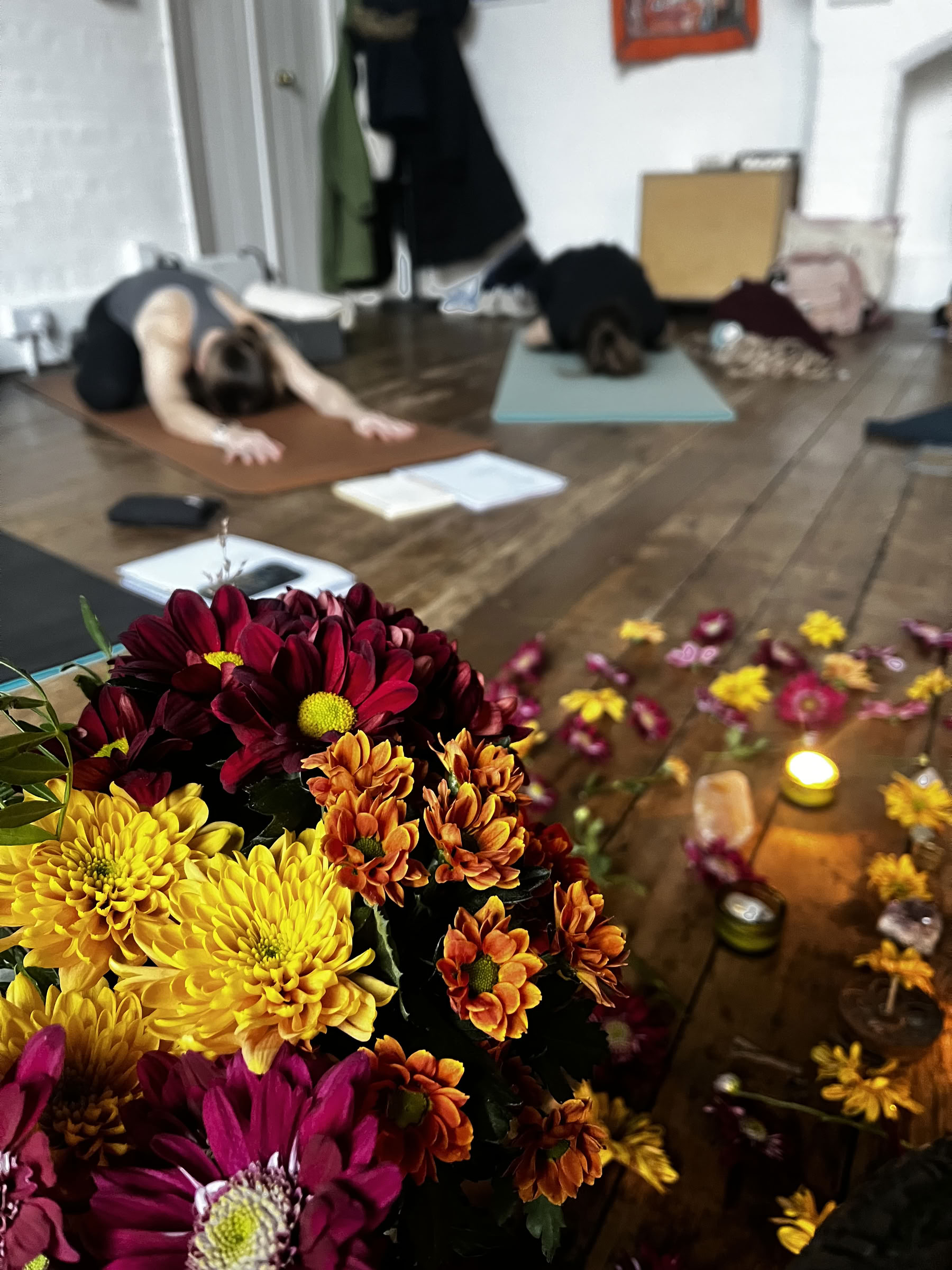 Formazione Insegnanti di Yin Yoga di 30 Ore