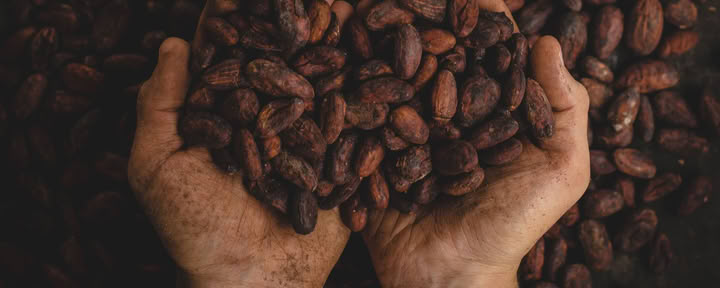 Ritiro di Emersione al Cacao