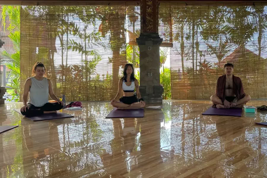 Corso di formazione insegnanti di yoga di 100 ore