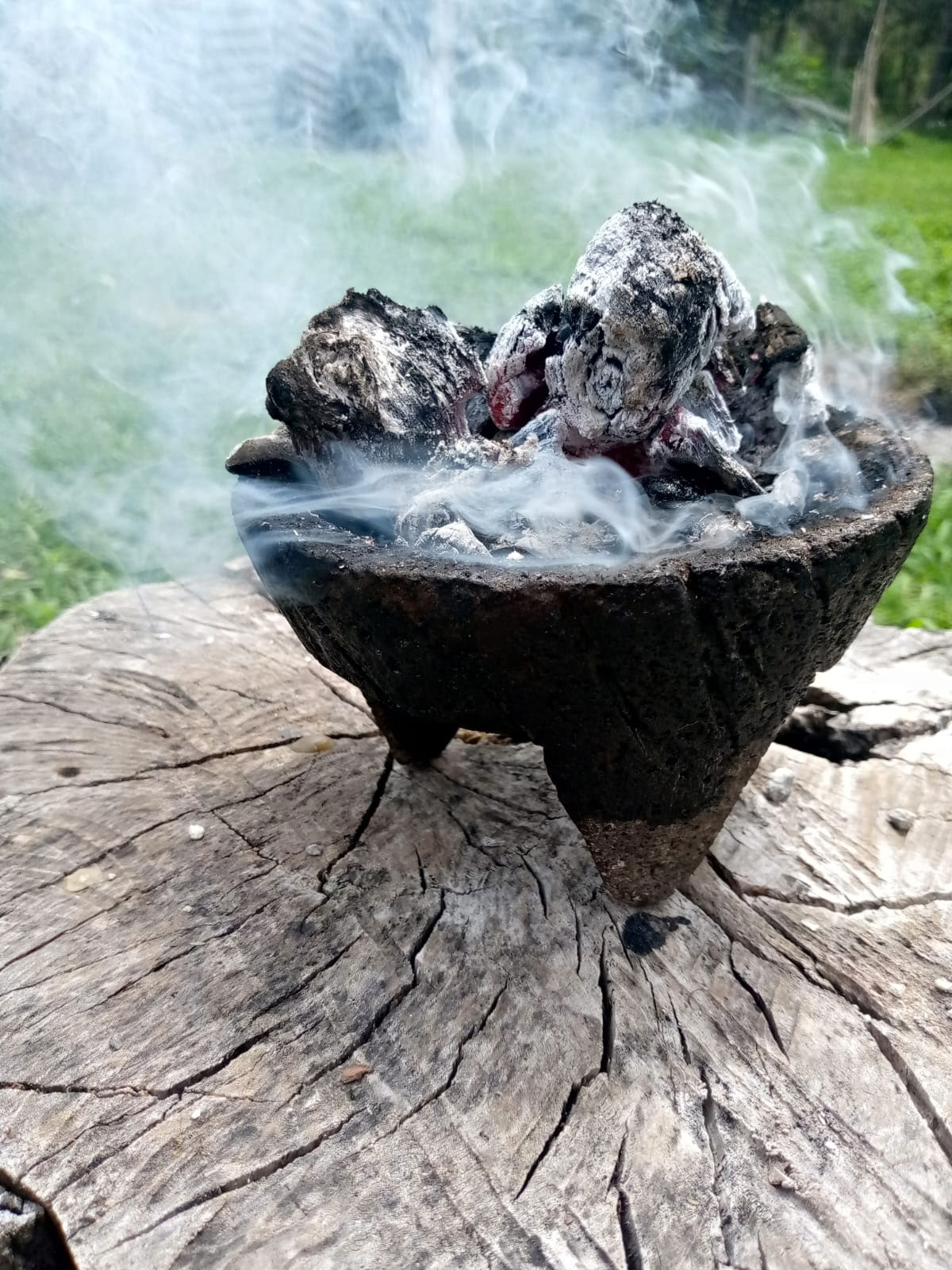Cerimonia privata di ayahuasca / San Pedro