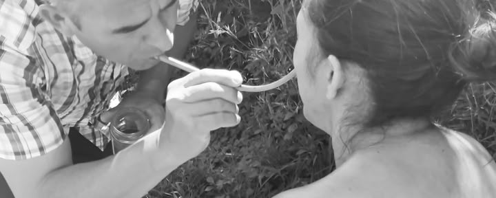 Cerimonia privata di ayahuasca / San Pedro