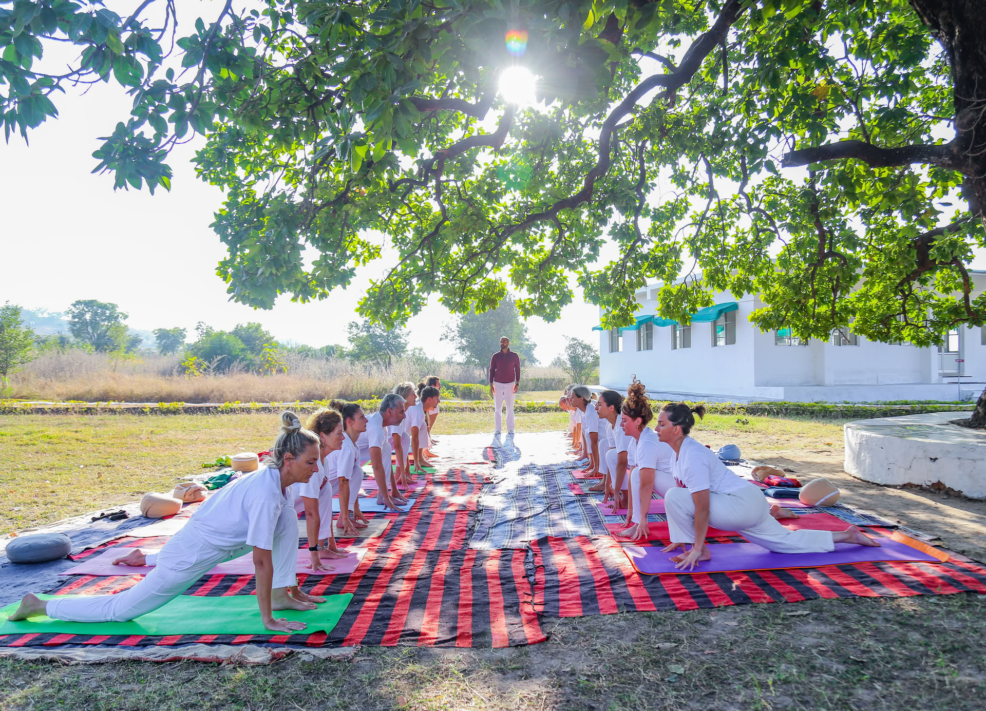 Impara lo yoga in India con un corso di formazione per insegnanti di 200 ore