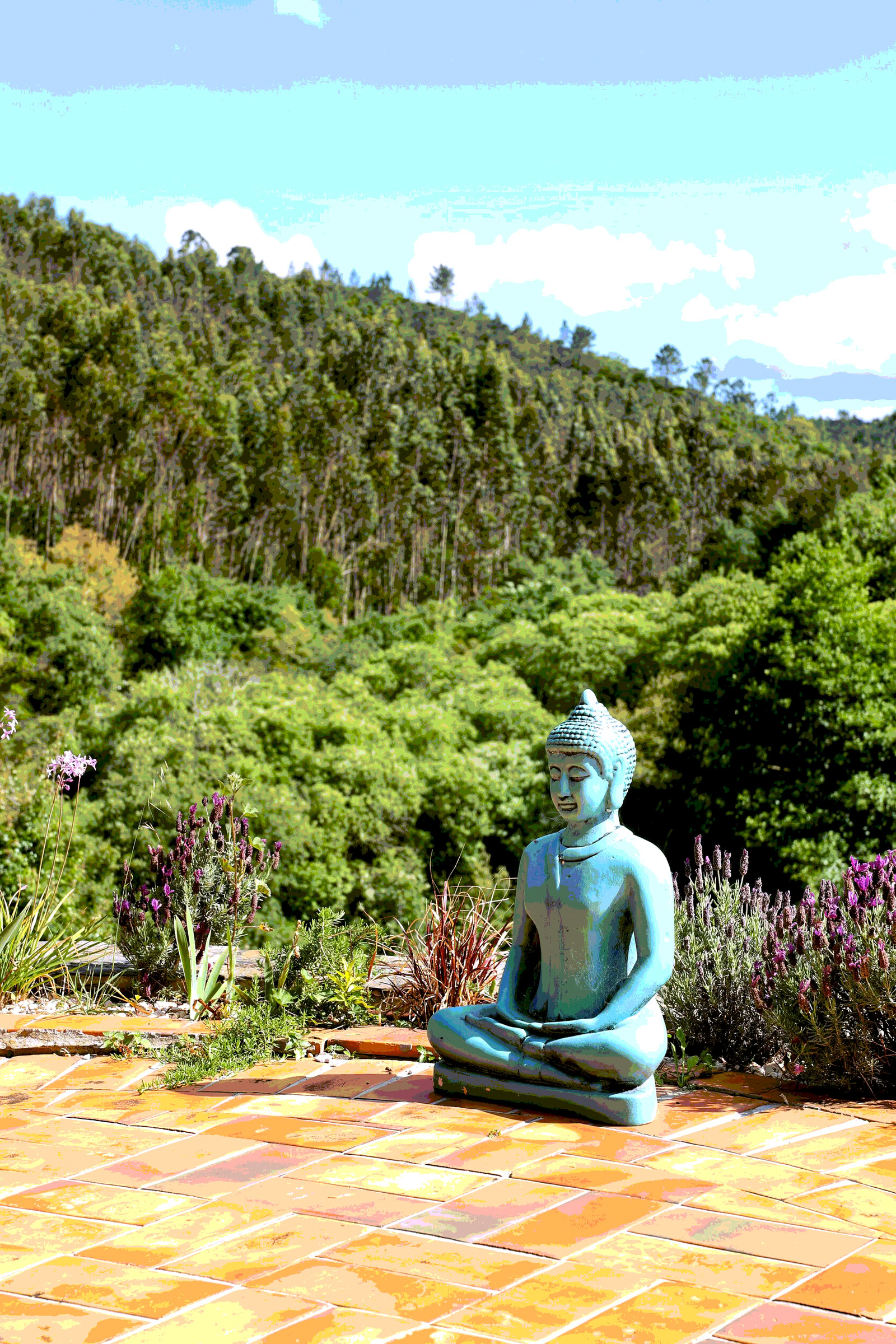 Ritiro di Yoga e Bhakti hOMe