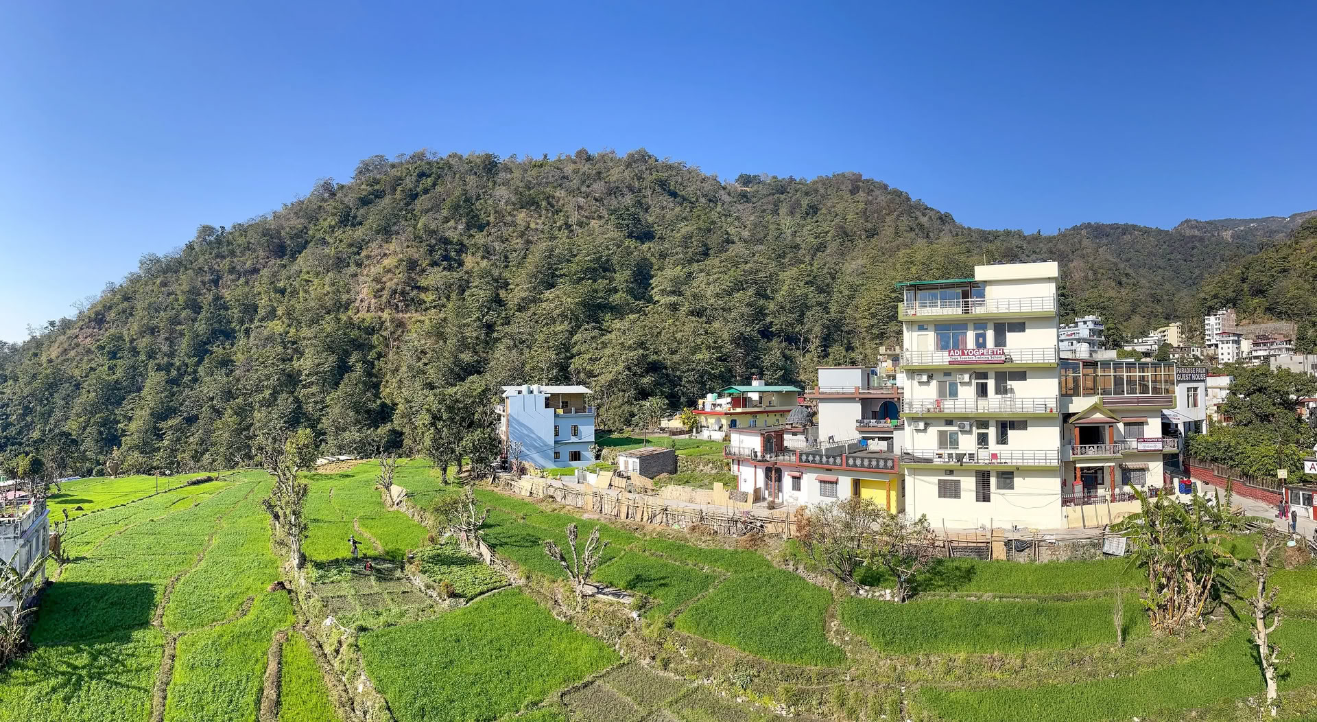 Corso di Sound Healing a Rishikesh