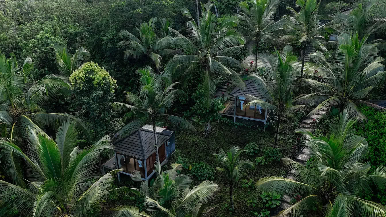 Ritiro di guarigione autentica di 3 giorni in una giungla segreta a Bali