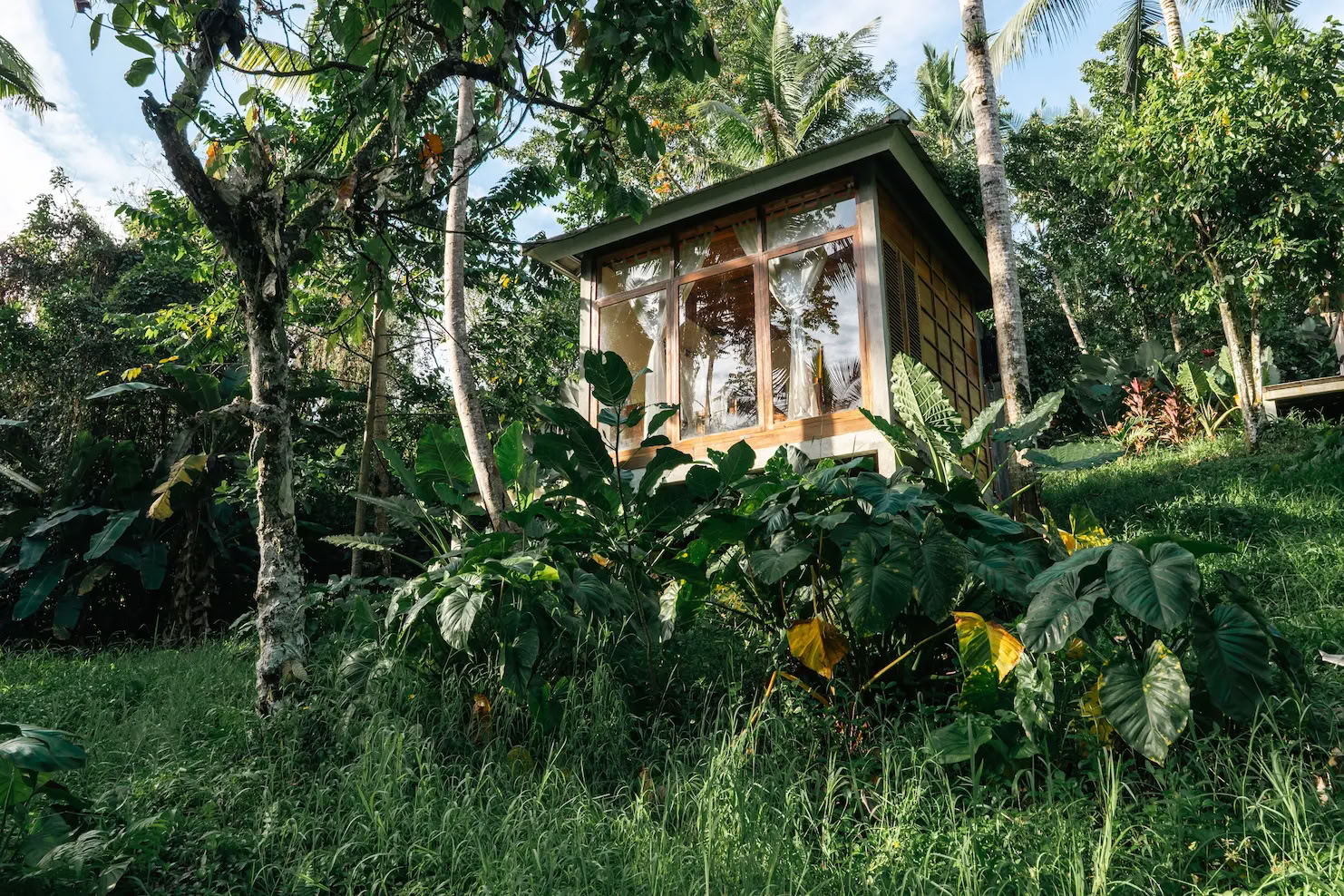 Ritiro di 5 giorni di yoga nella giungla, sound healing e creatività a Bali