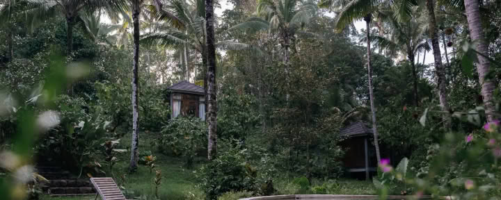 Ritiro Digital Detox