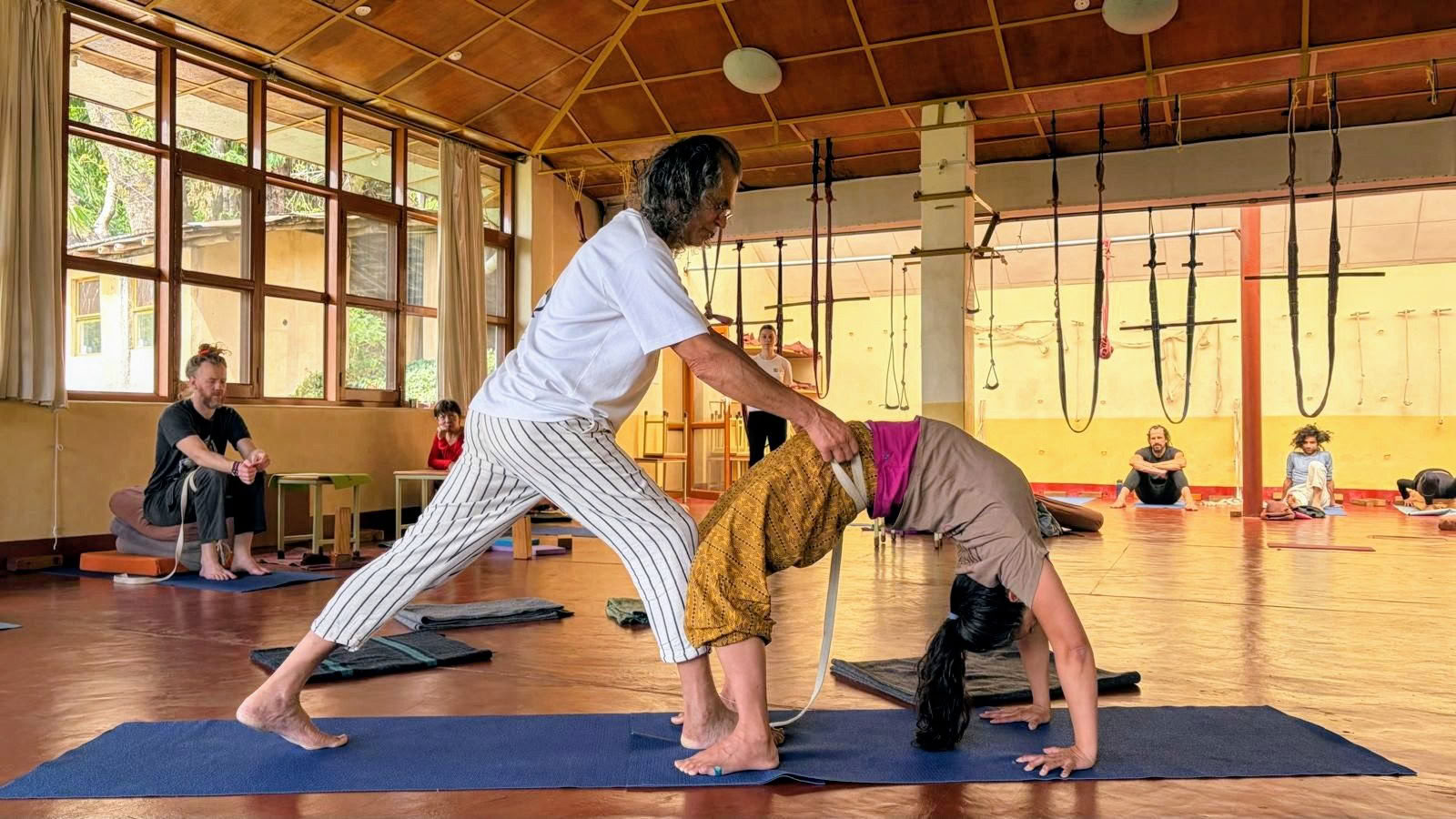 Corso intensivo di yoga di 160 ore a Dharamshala