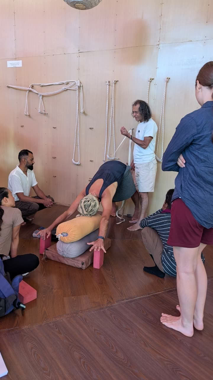 Formazione Insegnanti di Yoga di 320 Ore a Dharamshala