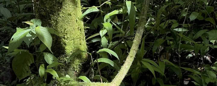 Ritiro a Vilcabamba