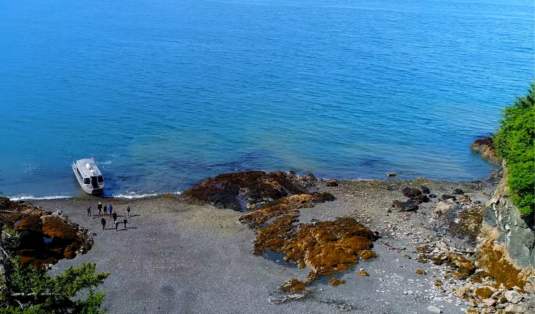 Esplorazione delle pozze di marea