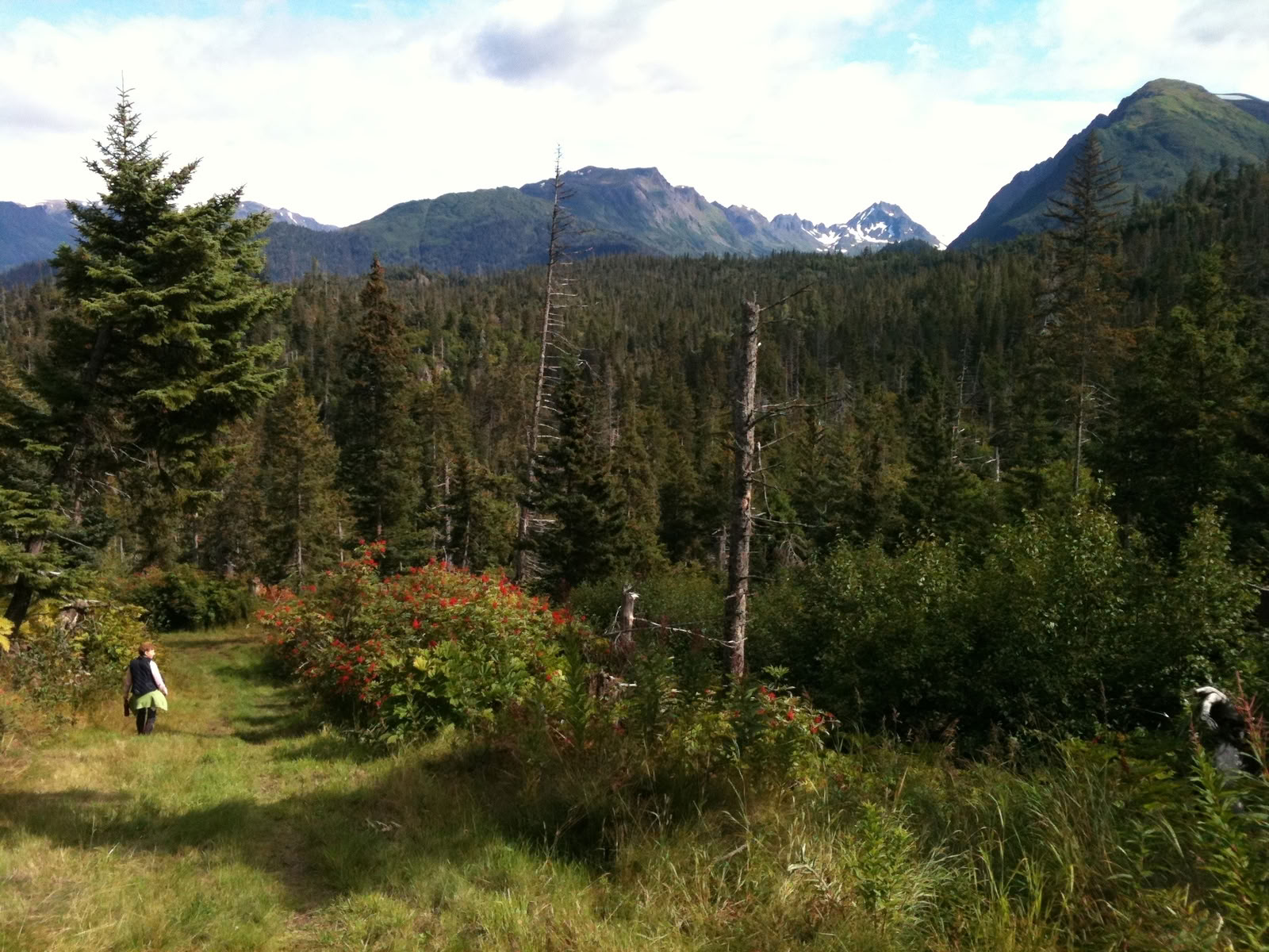 Escursione locale in Alaska