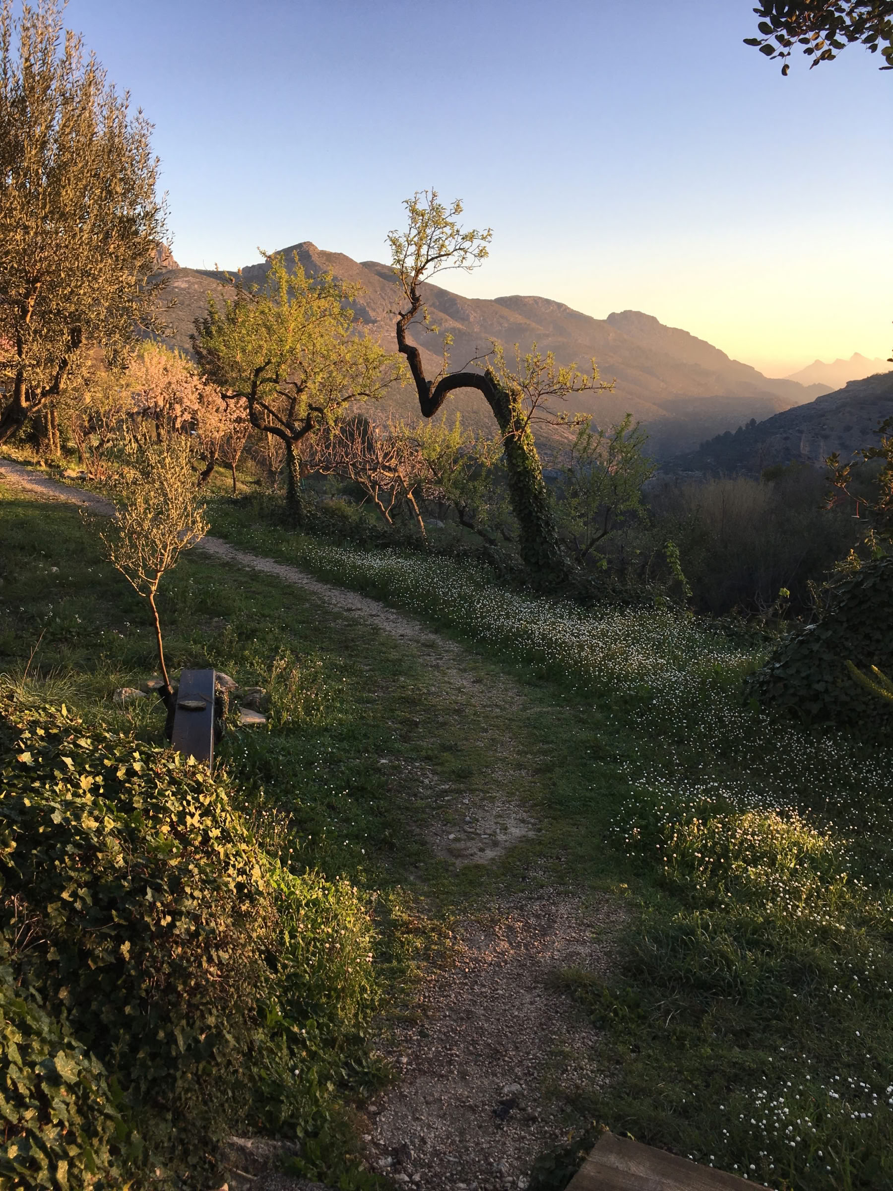 Trovare la Pace