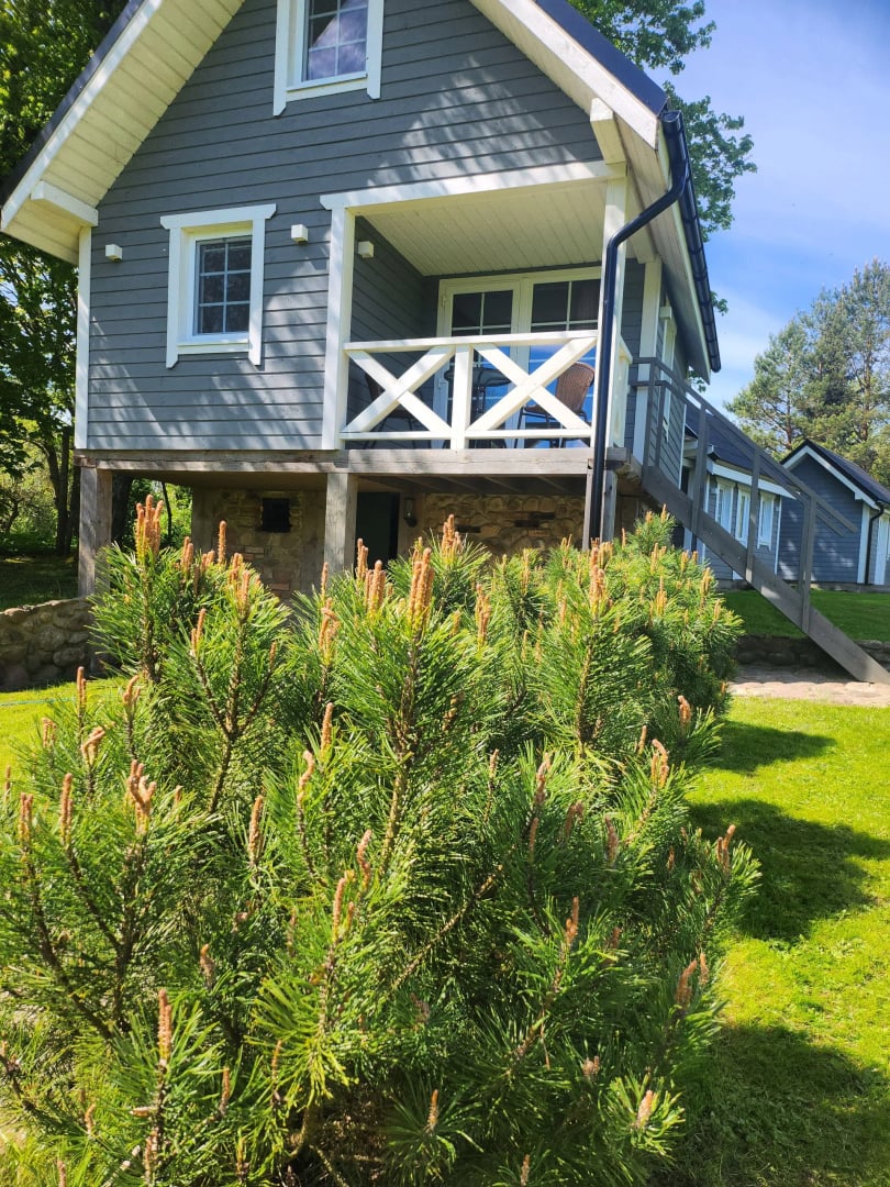 NO NEIGHBOURS