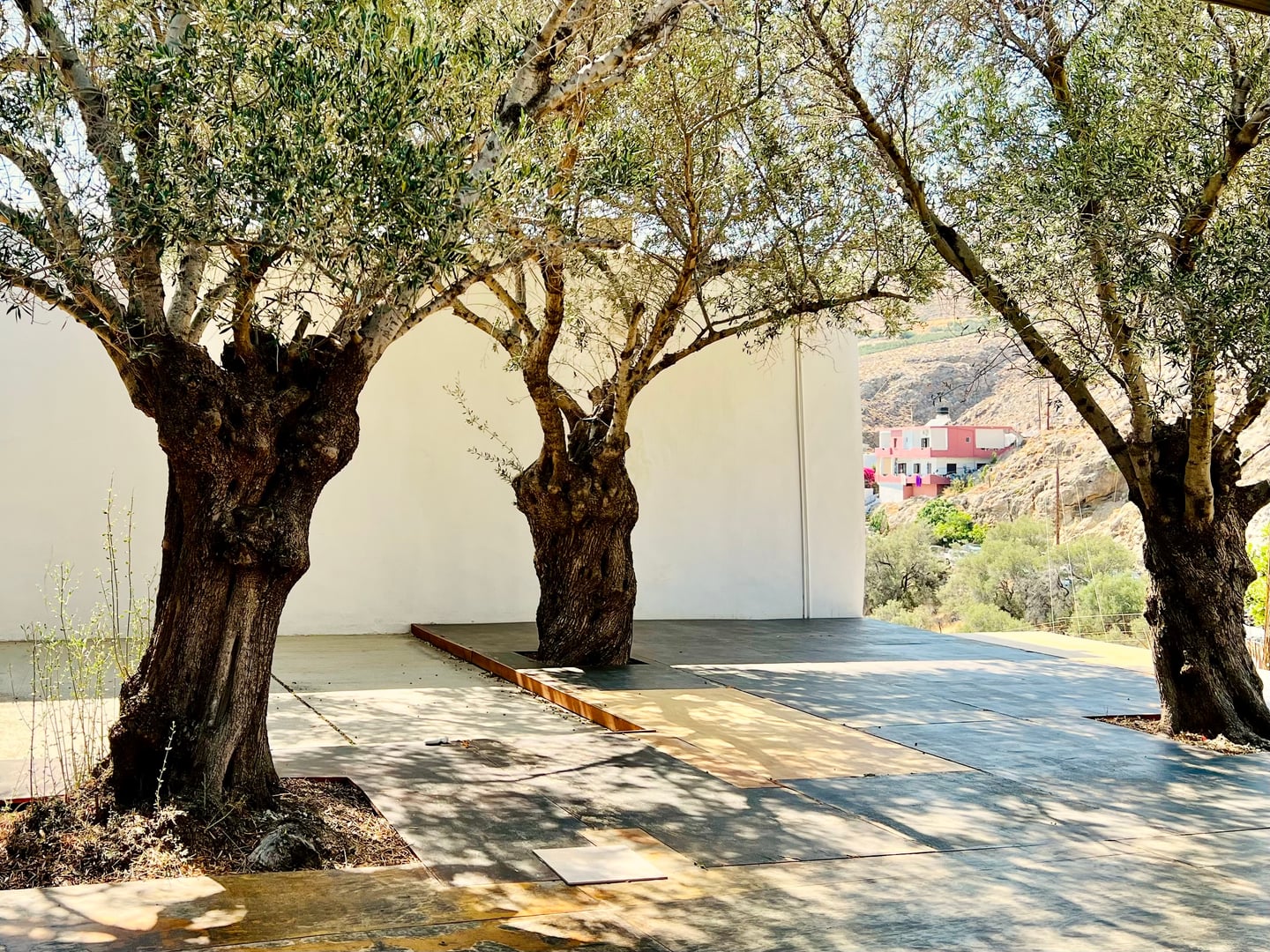 Yoga a Creta