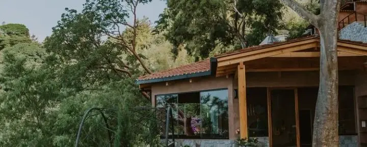 Sentiero nel bosco