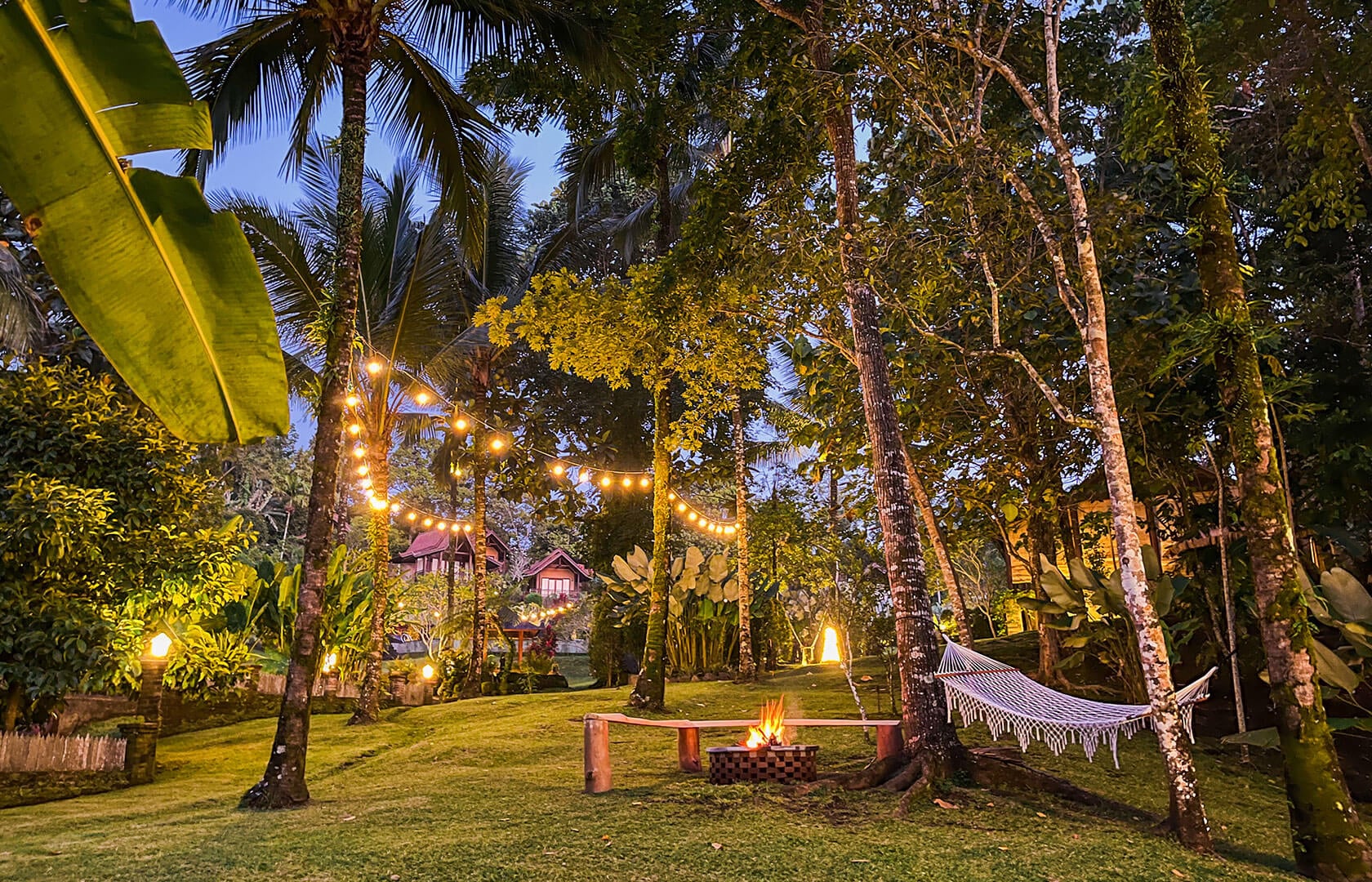 Bali Palms