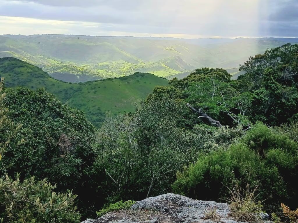 Louis a Magwa Falls