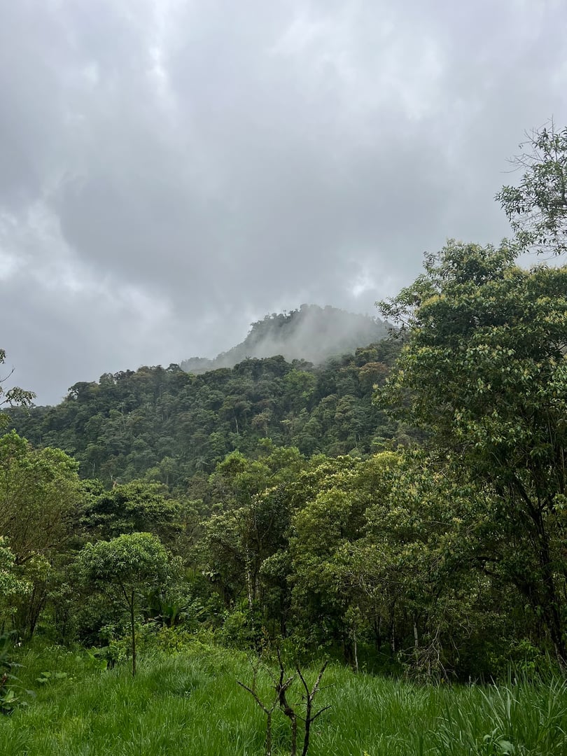 Hayulima: Ritiri spirituali e di medicina vegetale