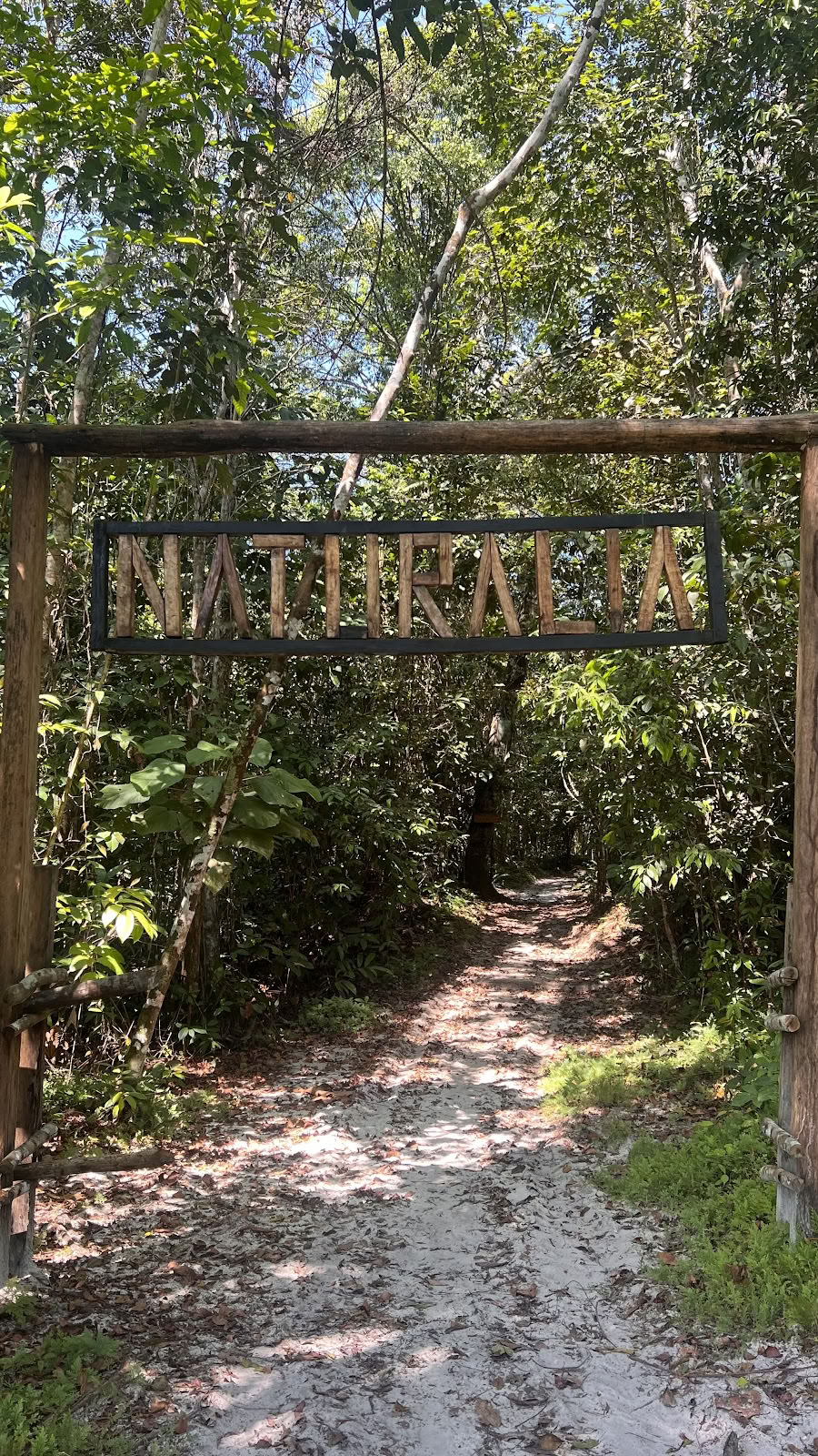 Naturalia retreat center | Ritiro di Ayahuasca in Perù