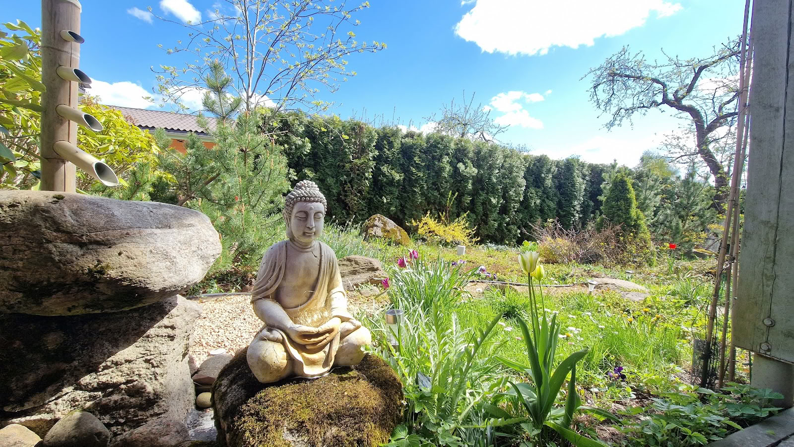 Meditation Center Ojas, Resort / OJAS Meditation Center Resort