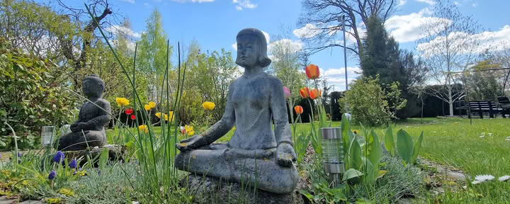Meditation Center Ojas, Resort / OJAS Meditation Center Resort