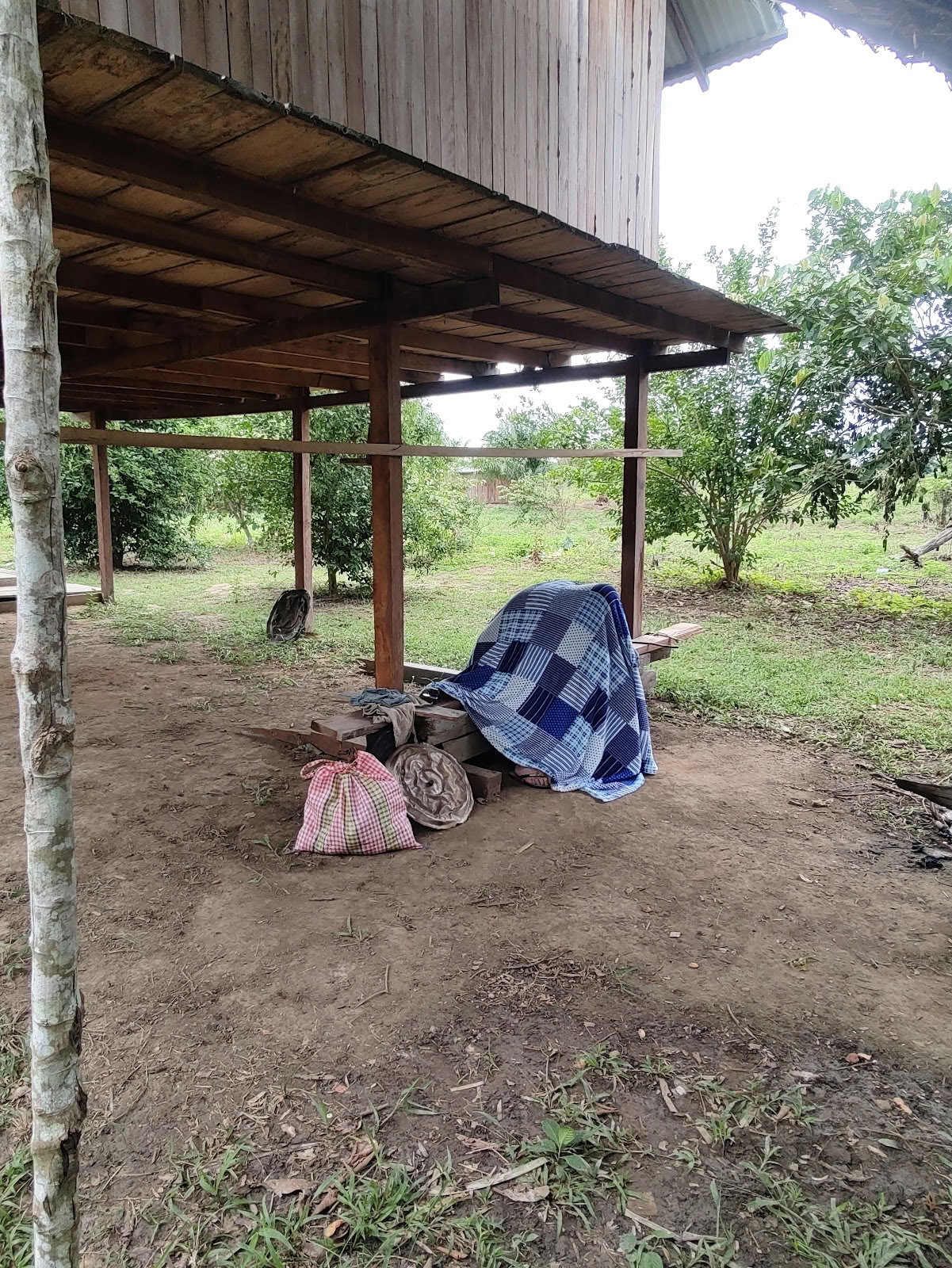Foundation Shipibo Ayahuasca & Shamanism