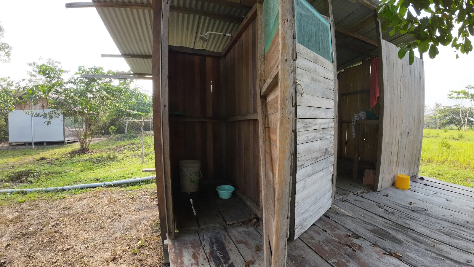 Foundation Shipibo Ayahuasca & Shamanism